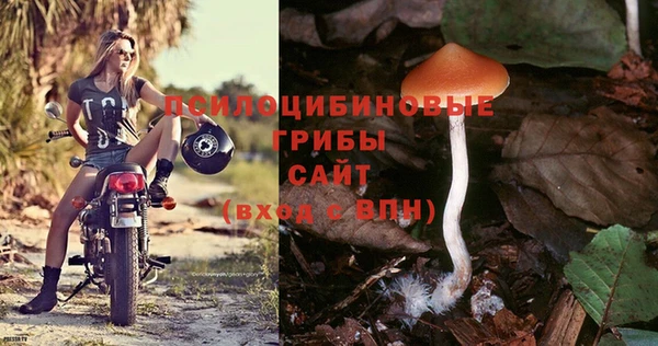 соль ск Абинск
