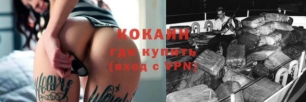 соль ск Абаза