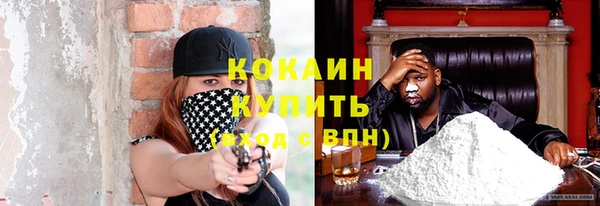 соль ск Абаза
