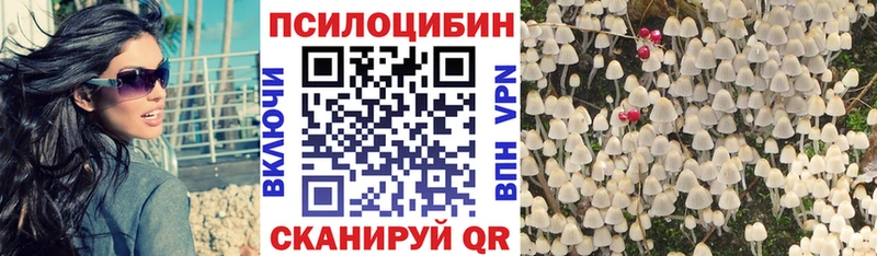 Галлюциногенные грибы мухоморы  ОМГ ОМГ вход  Вытегра 